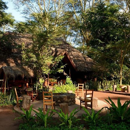 Migunga Tented Camp ムトワンブ エクステリア 写真
