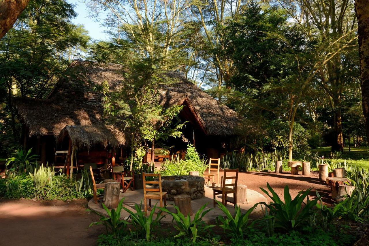 Migunga Tented Camp ムトワンブ エクステリア 写真