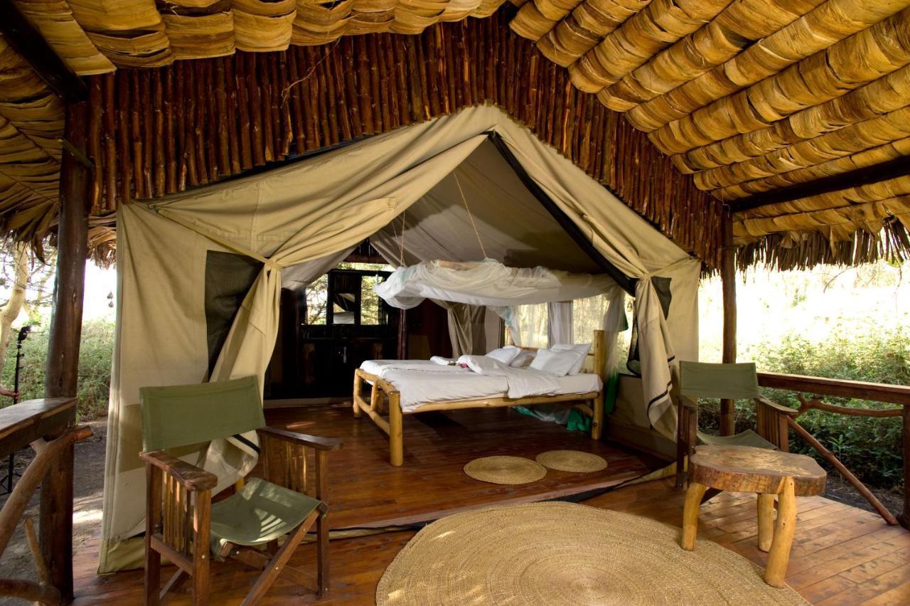 Migunga Tented Camp ムトワンブ エクステリア 写真
