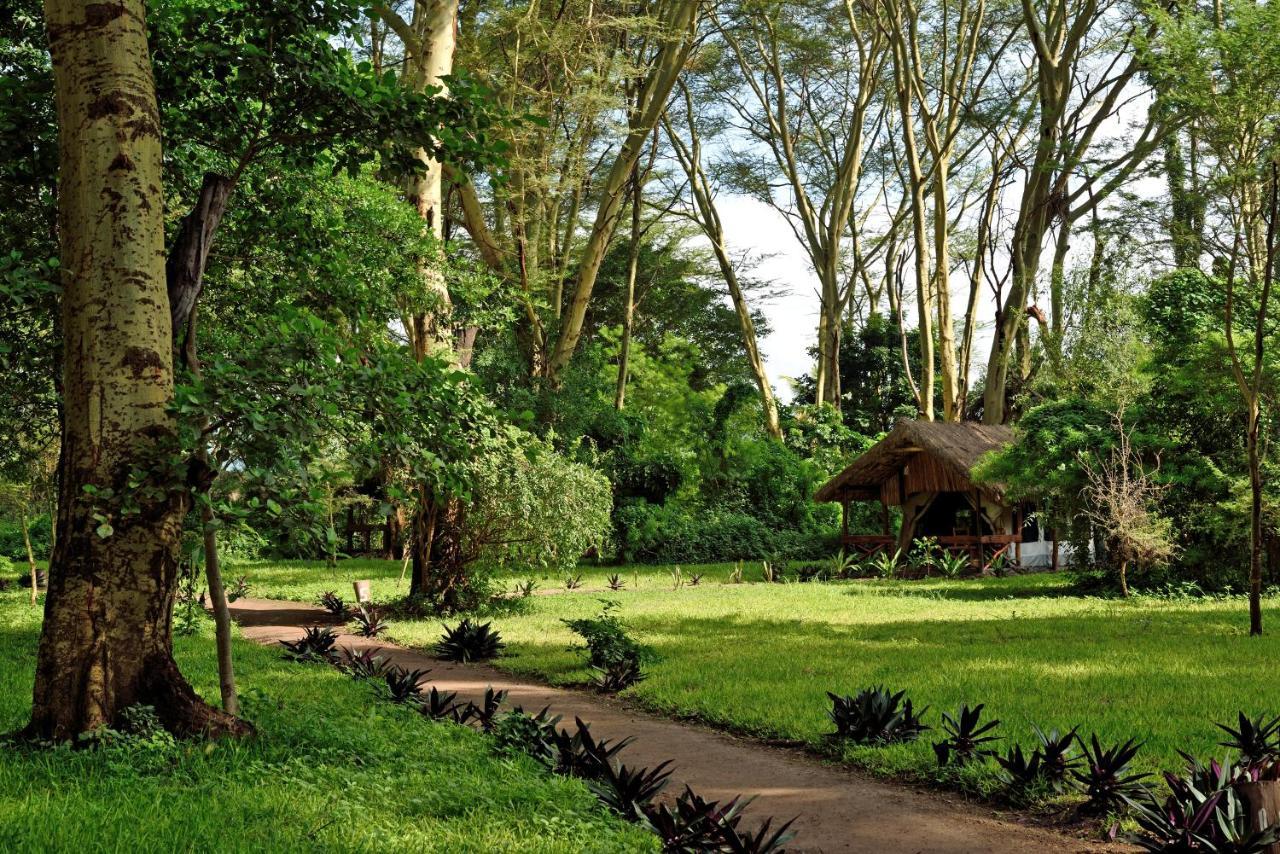 Migunga Tented Camp ムトワンブ エクステリア 写真