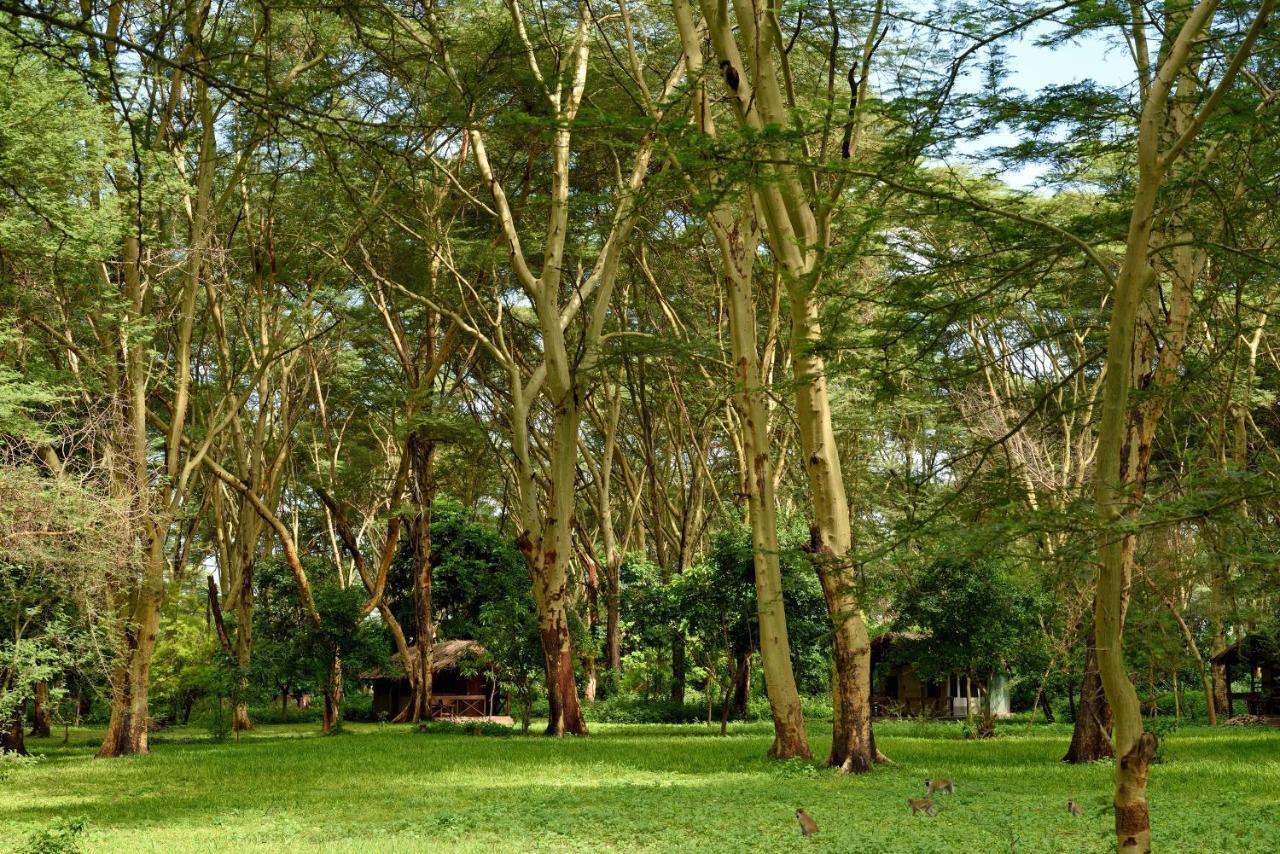 Migunga Tented Camp ムトワンブ エクステリア 写真