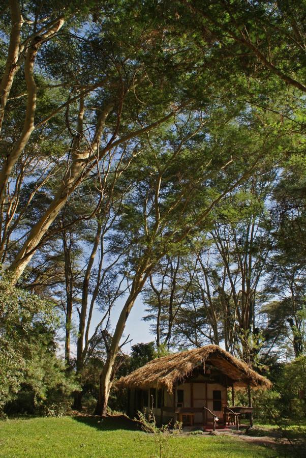 Migunga Tented Camp ムトワンブ エクステリア 写真