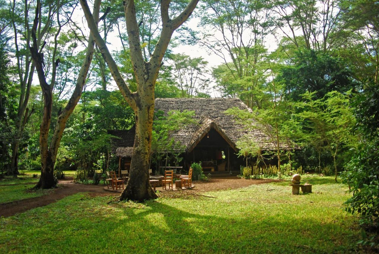 Migunga Tented Camp ムトワンブ エクステリア 写真